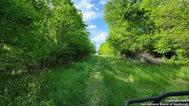 44 acres in Guadalupe County - photo 29