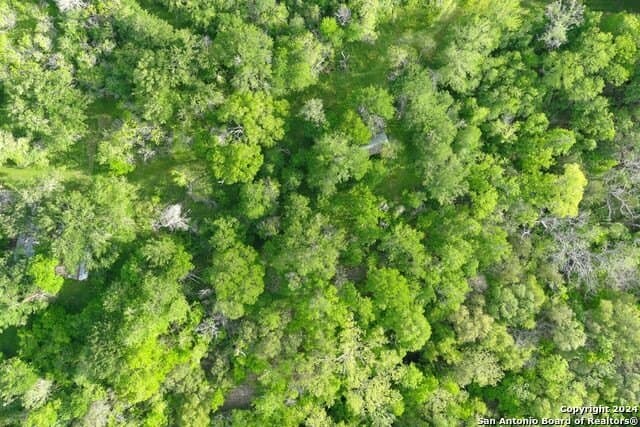 44 acres in Guadalupe County - photo 20
