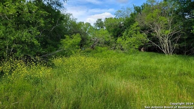 44 acres in Guadalupe County - photo 31