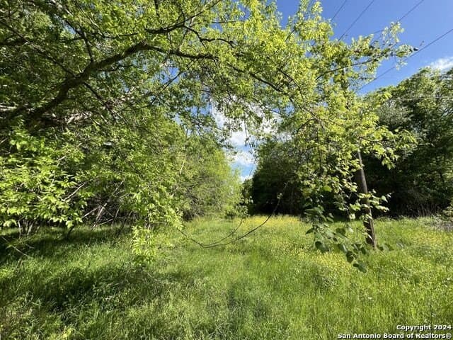 44 acres in Guadalupe County - photo 36