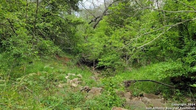 44 acres in Guadalupe County - photo 16