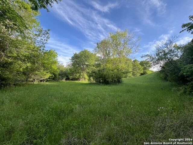 44 acres in Guadalupe County - photo 39