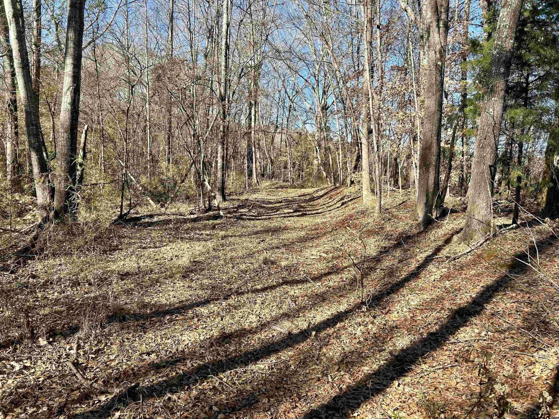 13 acres in Cherokee County - photo 7