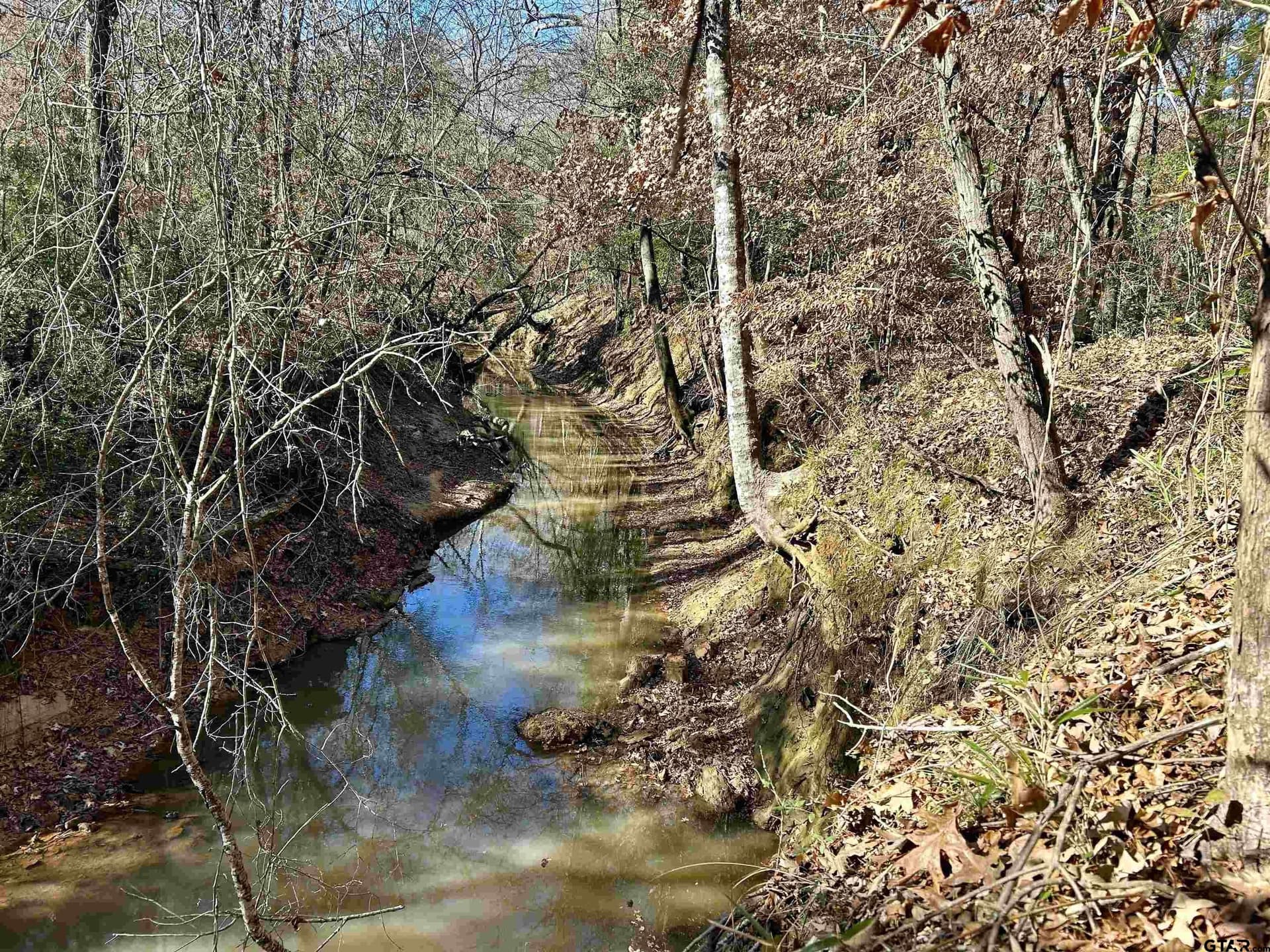 13 acres in Cherokee County - photo 4