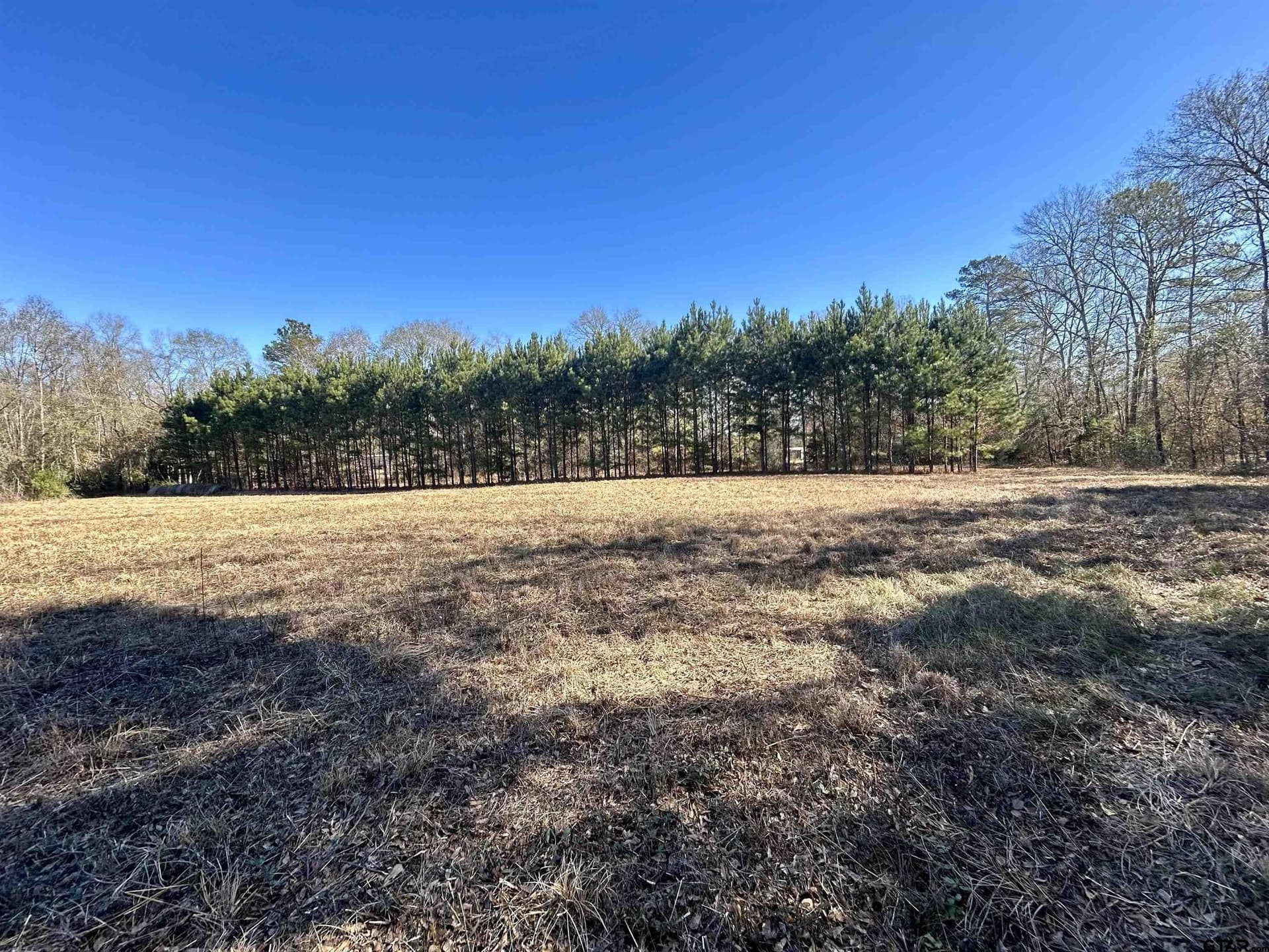 13 acres in Cherokee County - photo 3