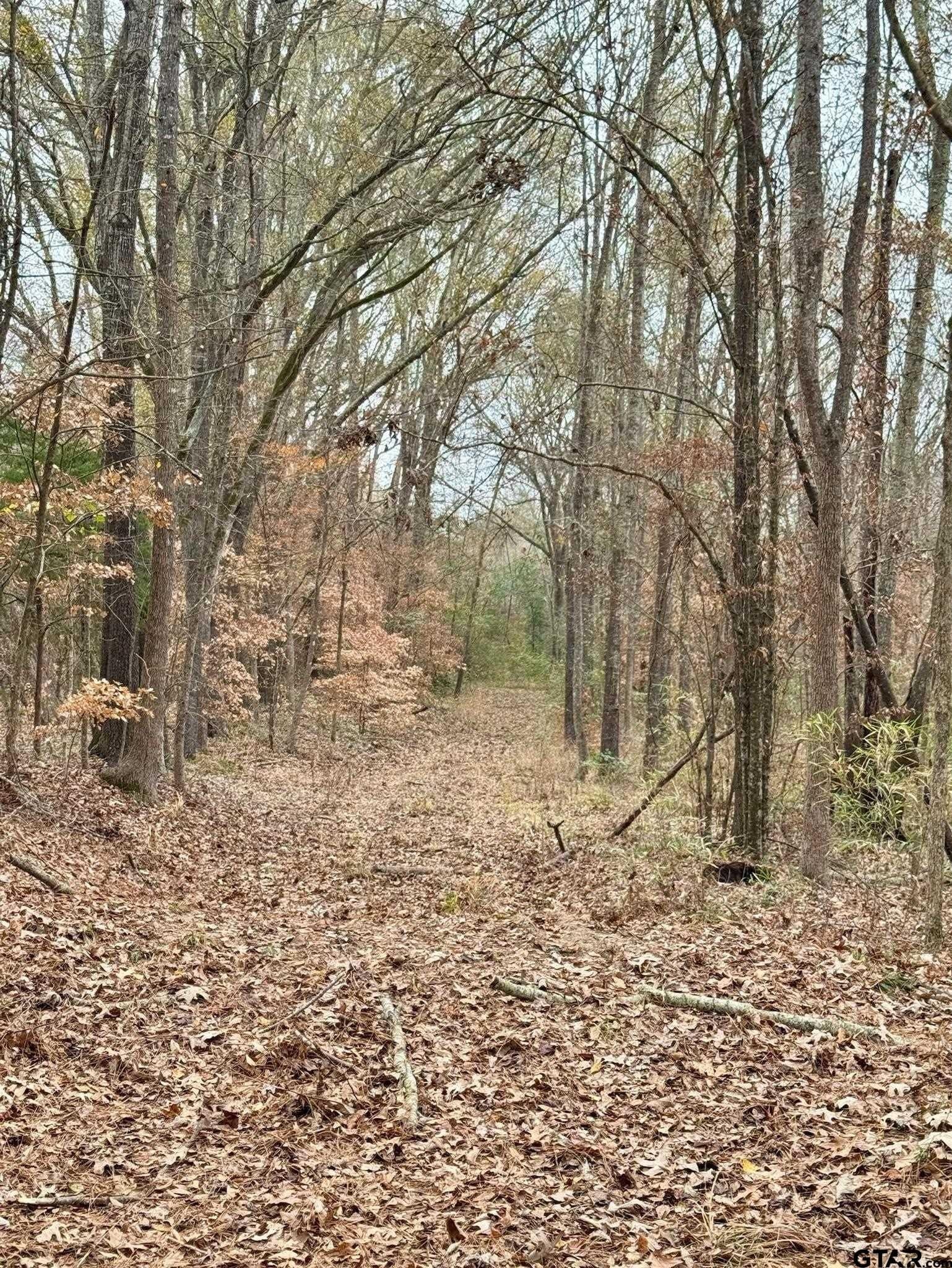 13 acres in Cherokee County - photo 6