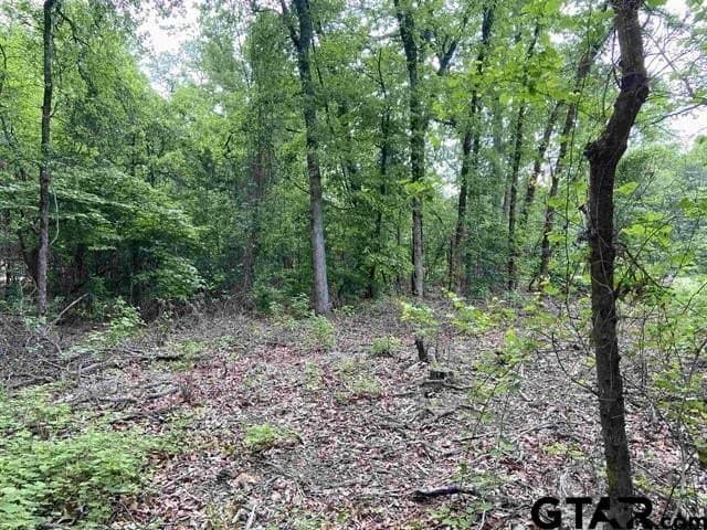 3.22 acres in Smith County - photo 3