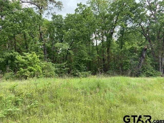 3.22 acres in Smith County - photo 2