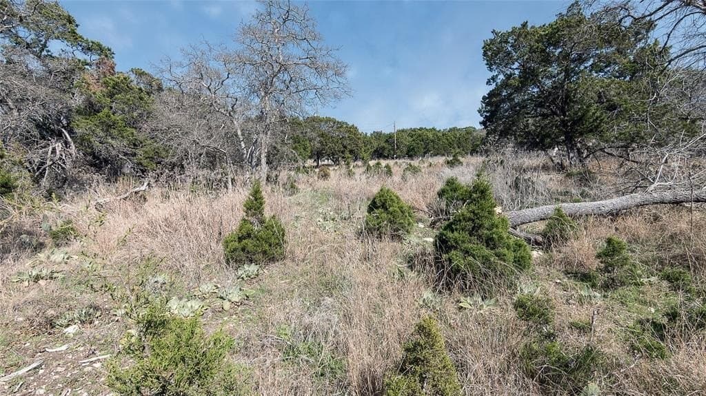 0.35 acres in Bell County - photo 10