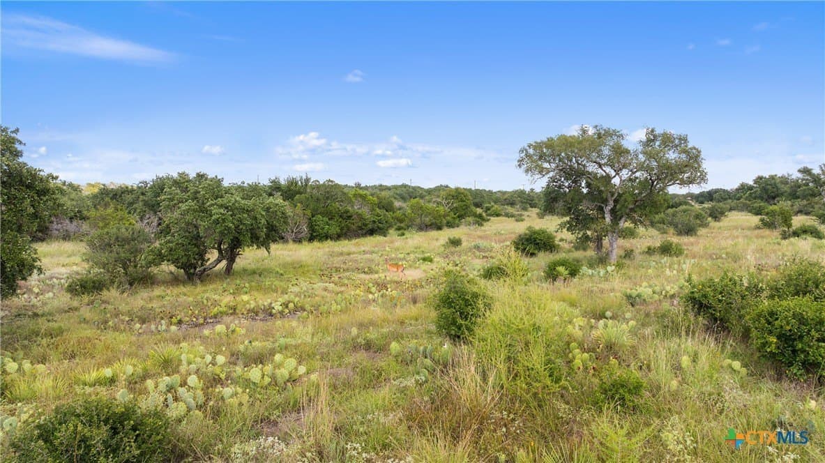 5 acres in Blanco County - photo 20