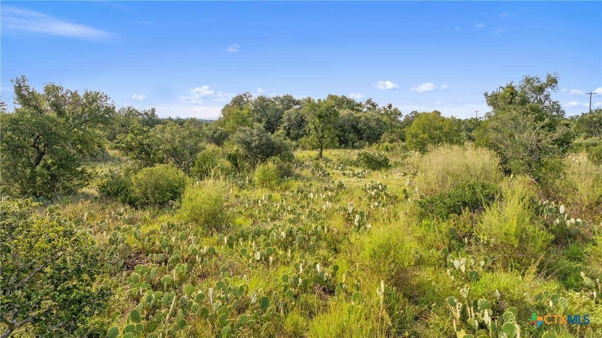 5 acres in Blanco County - photo 9