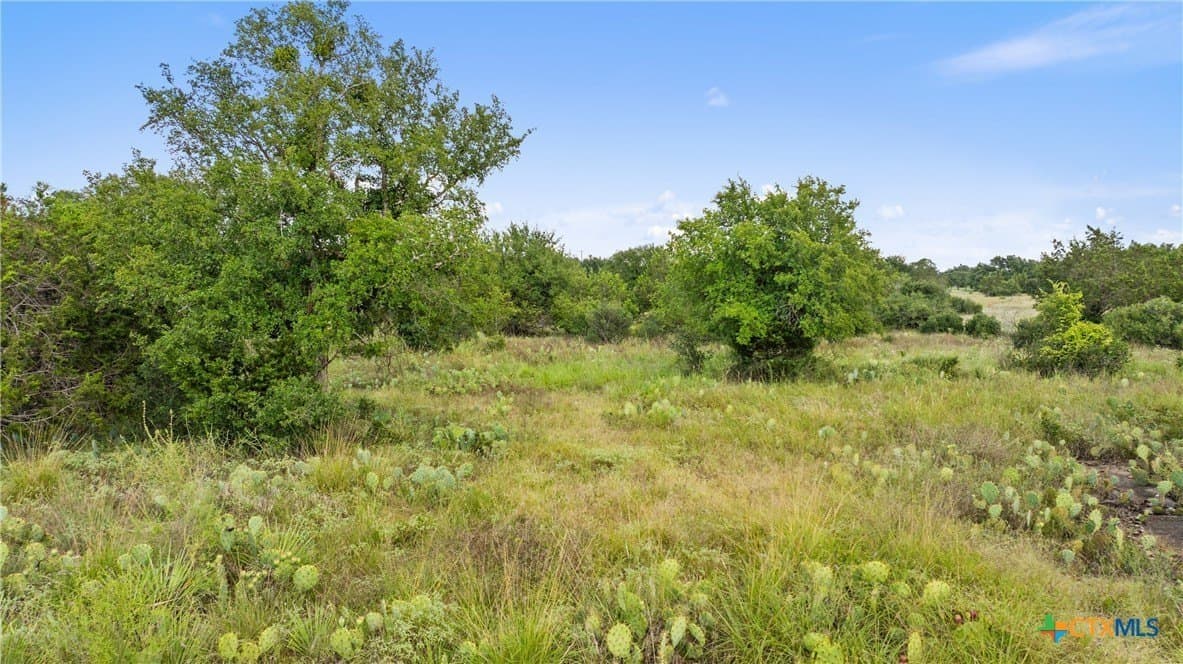 5 acres in Blanco County - photo 16