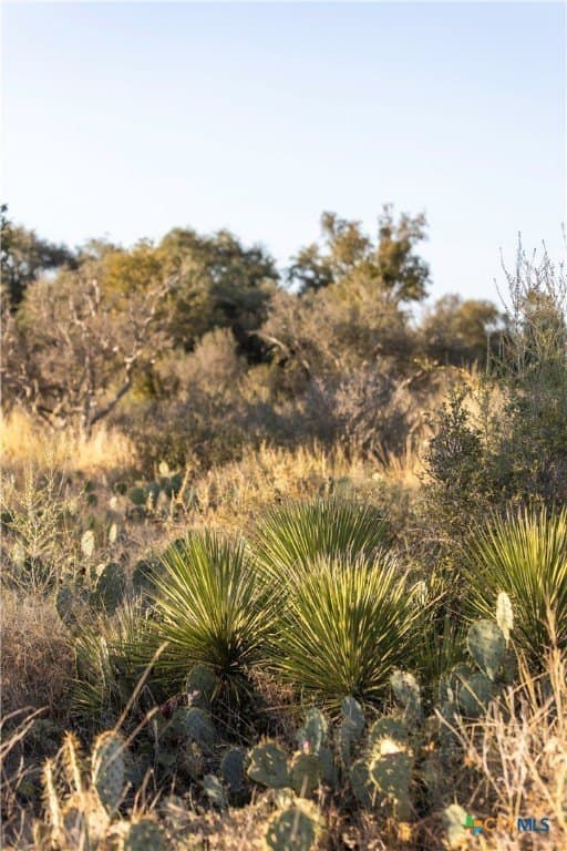 5 acres in Blanco County - photo 7