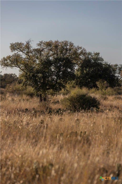 5 acres in Blanco County - photo 5