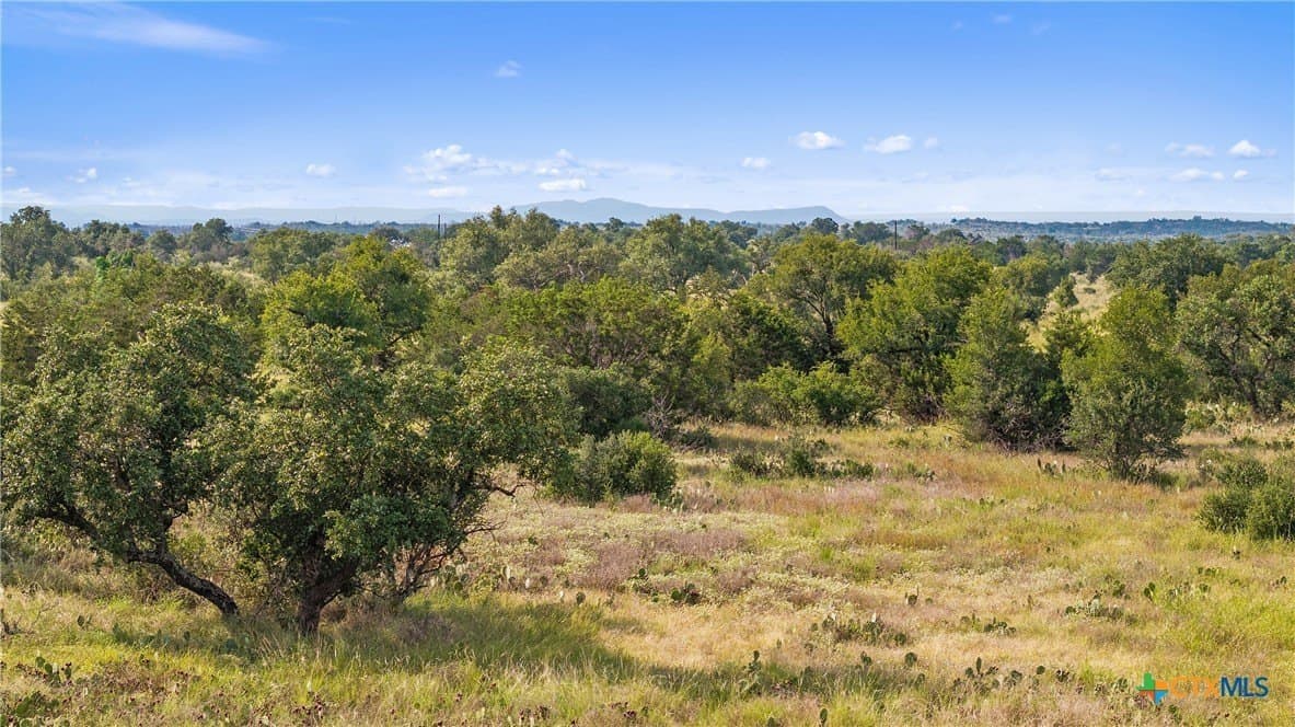 5 acres in Blanco County - photo 23
