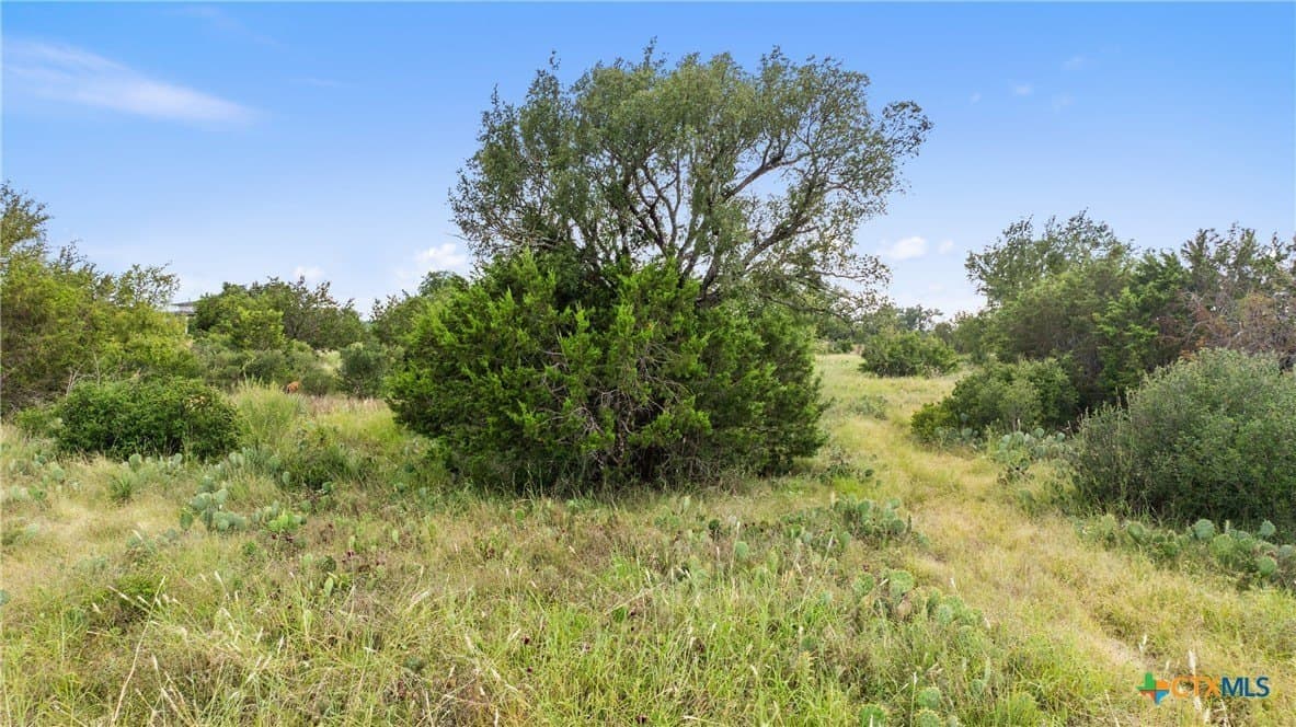5 acres in Blanco County - photo 15