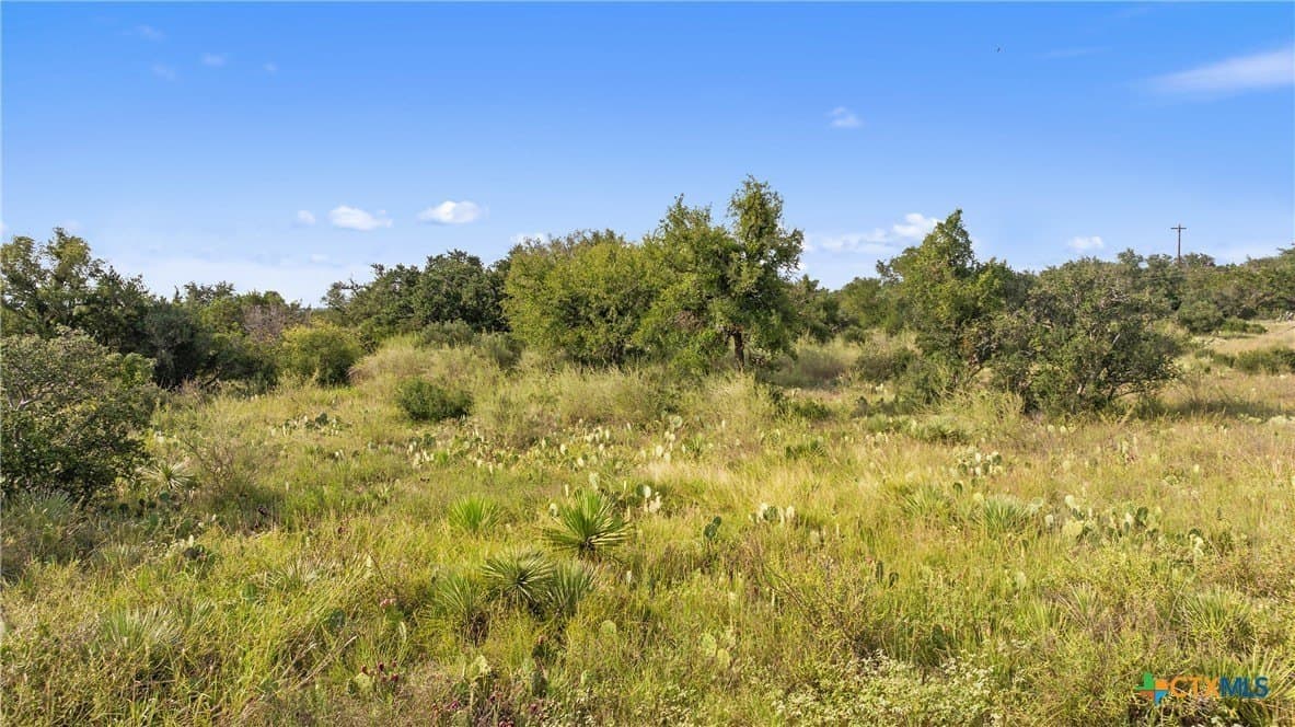 5 acres in Blanco County - photo 26