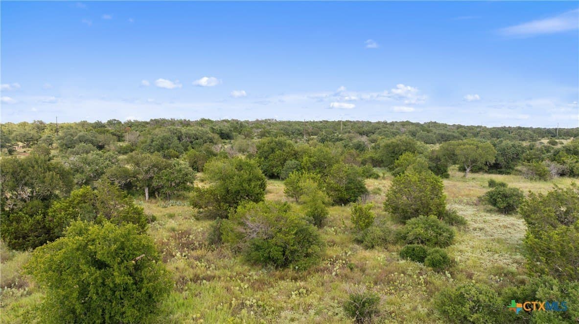 5 acres in Blanco County - photo 17