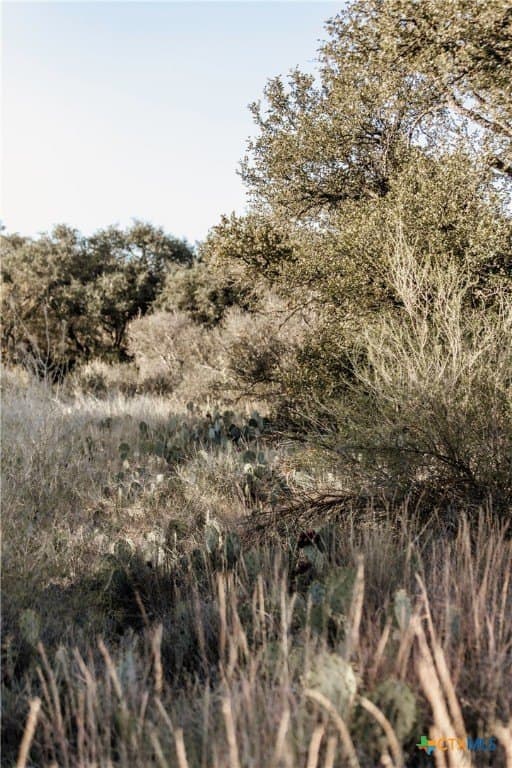 5 acres in Blanco County - photo 6