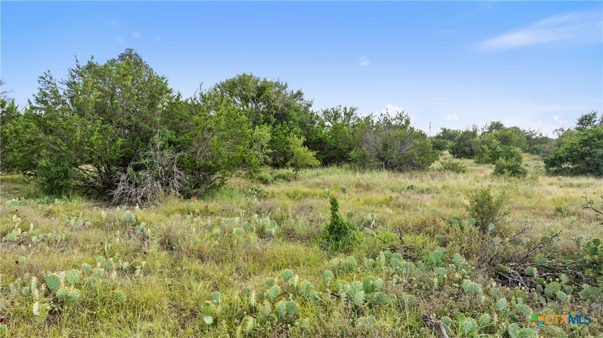 5 acres in Blanco County - photo 14