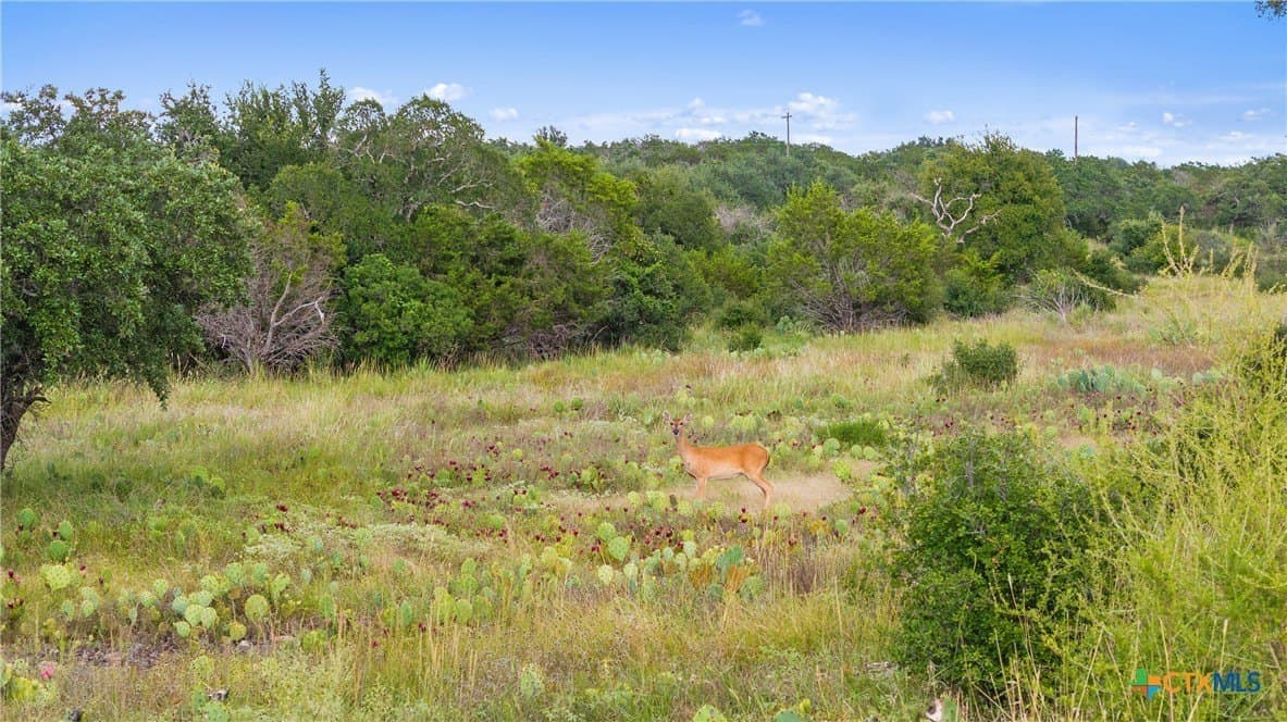 5 acres in Blanco County - photo 21