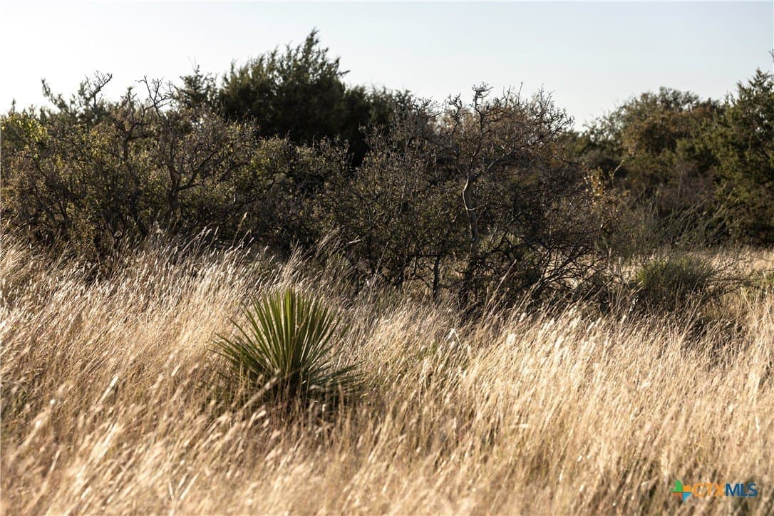 5 acres in Blanco County - photo 4