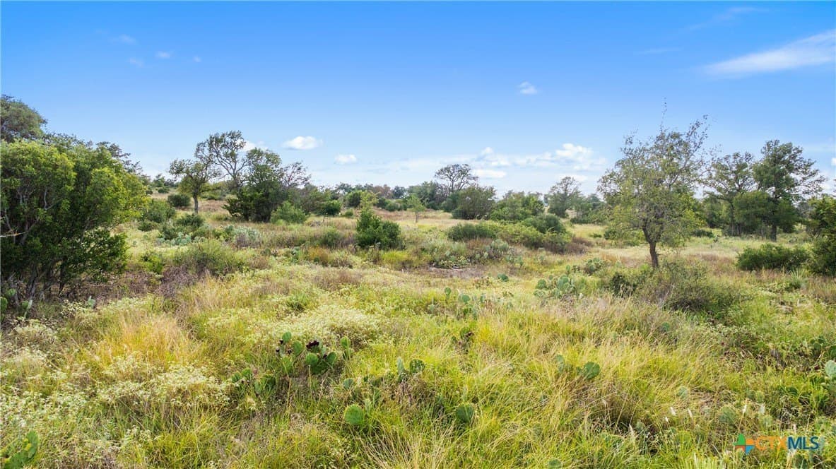 5 acres in Blanco County - photo 19