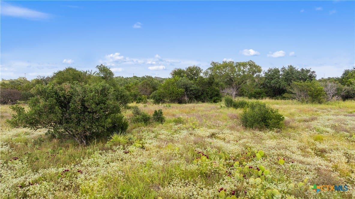 5 acres in Blanco County - photo 18