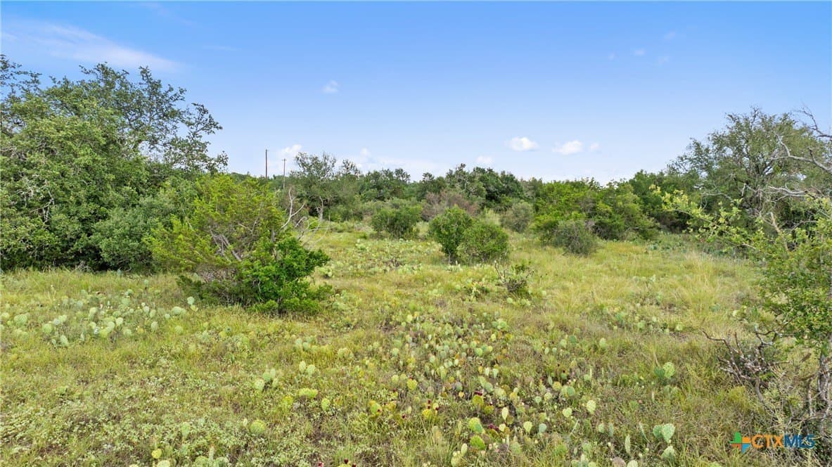 5 acres in Blanco County - photo 13