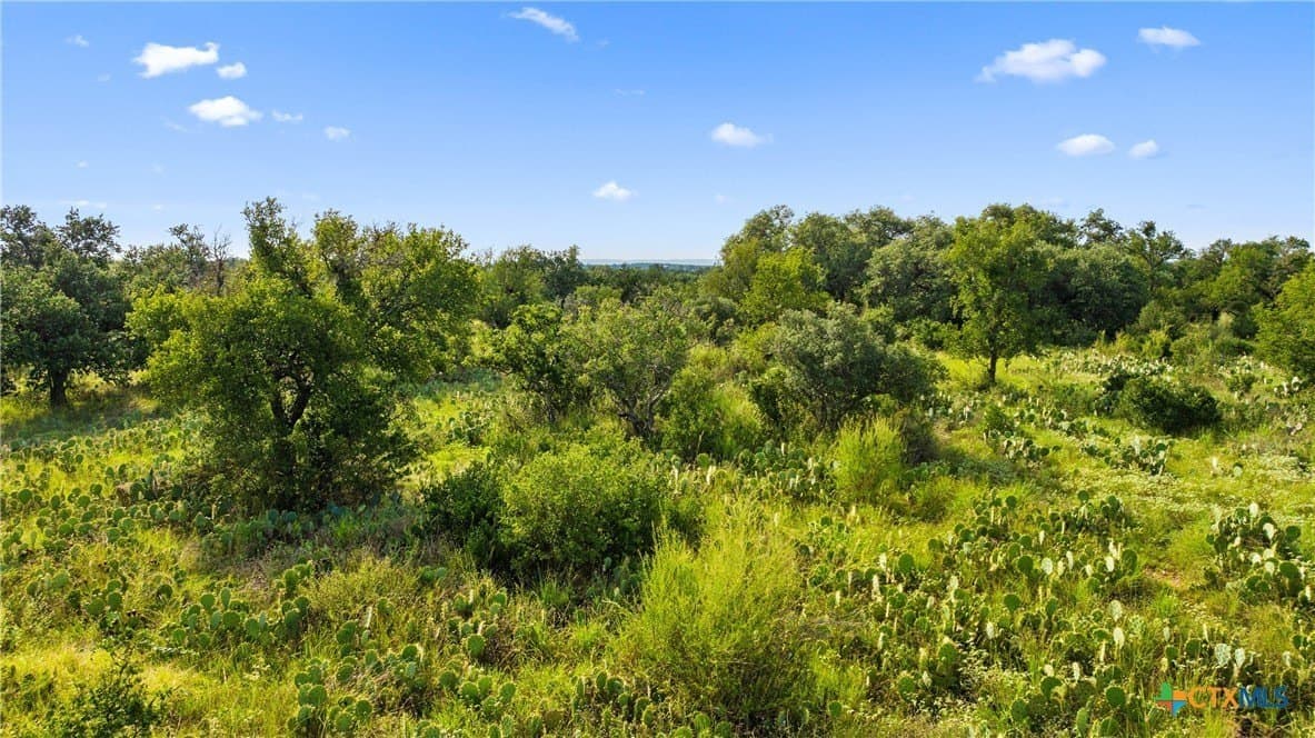 5 acres in Blanco County - photo 10
