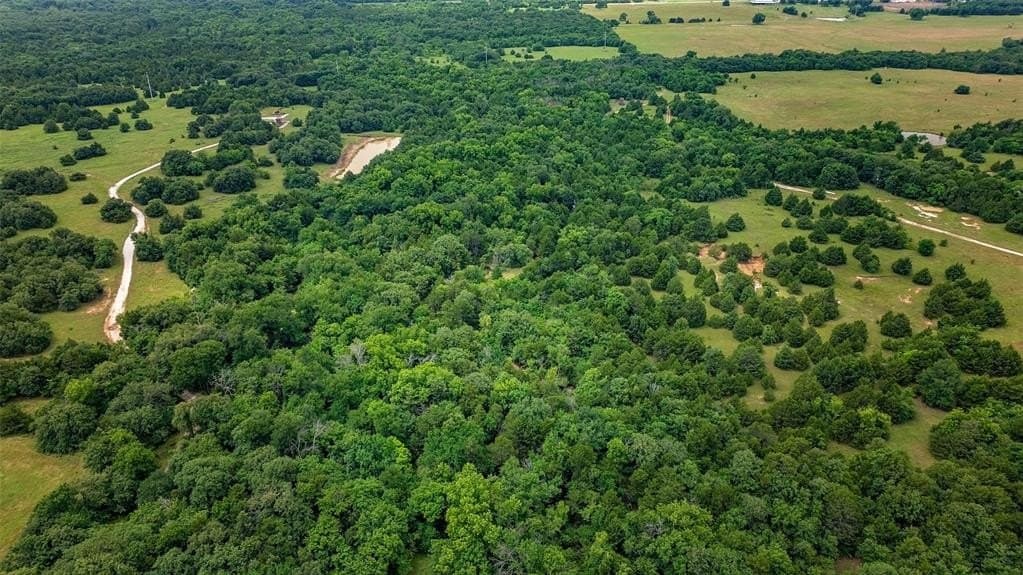 55 acres in Cooke County - photo 3