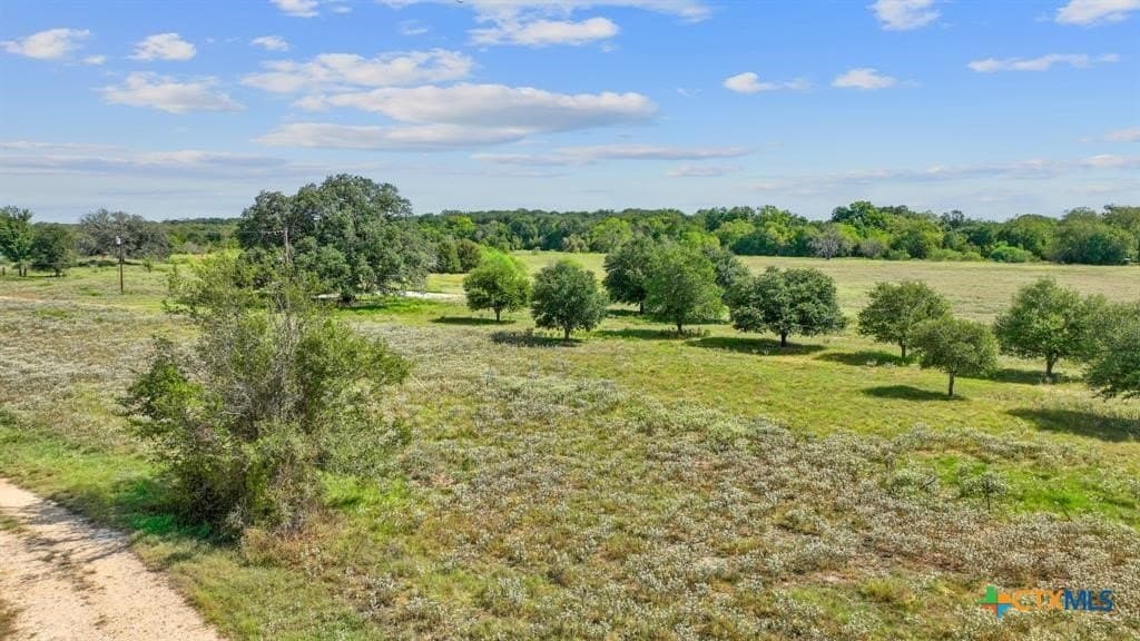 18.31 acres in Gonzales County - photo 3