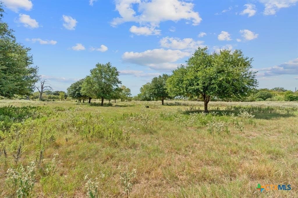 18.31 acres in Gonzales County - photo 2