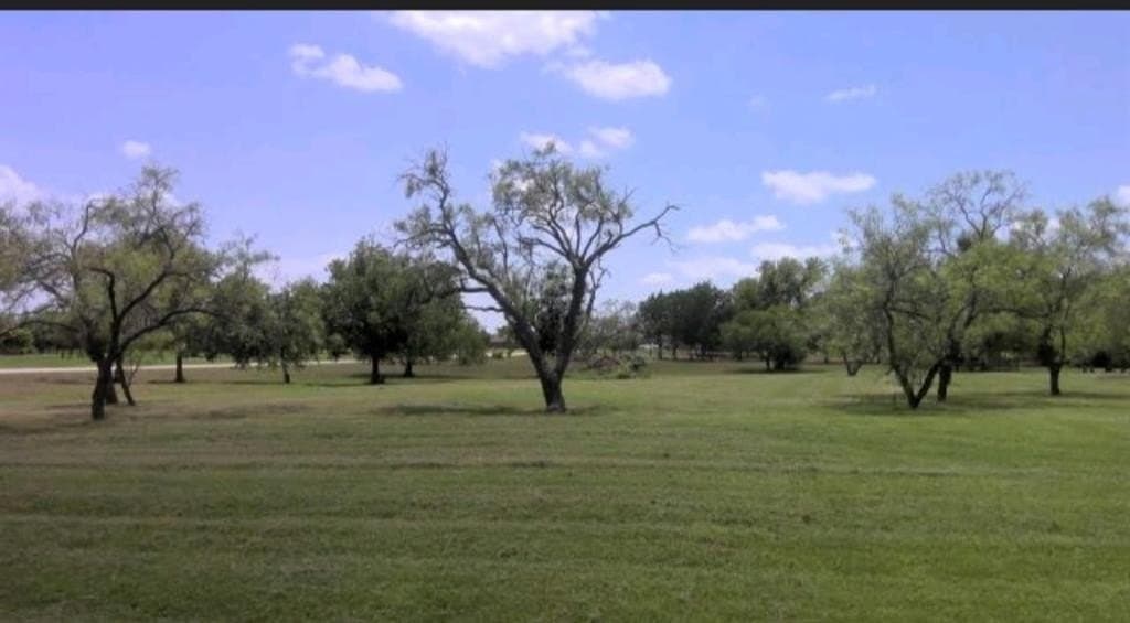 2 acres in Rockwall County - photo 2