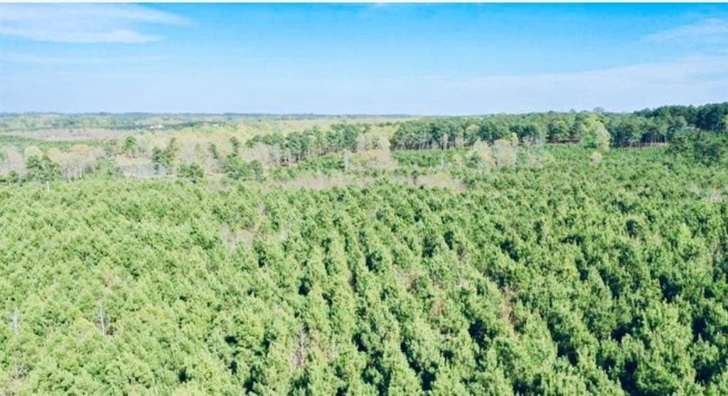33.24 acres in Cass County - photo 2