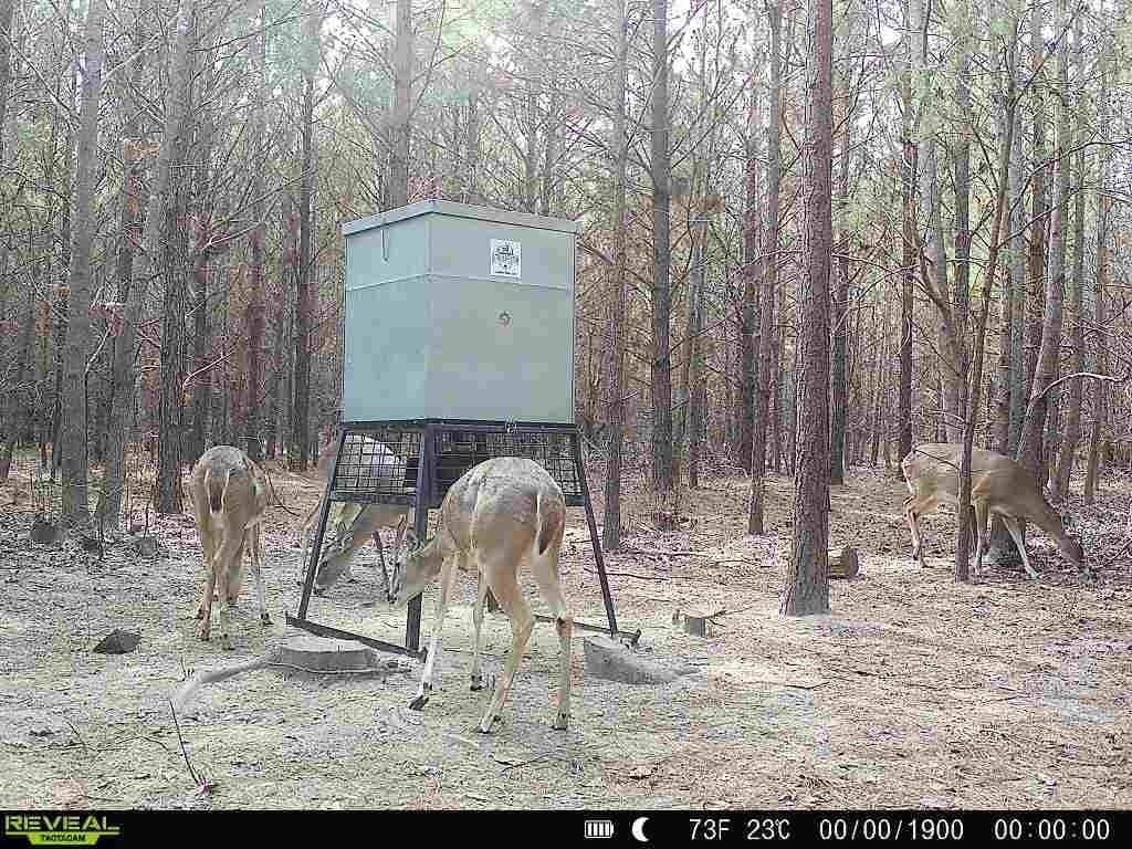 33.24 acres in Cass County - photo 21