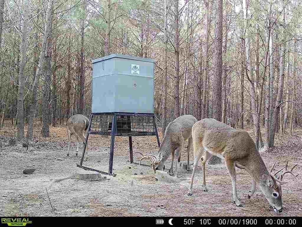 33.24 acres in Cass County - photo 20