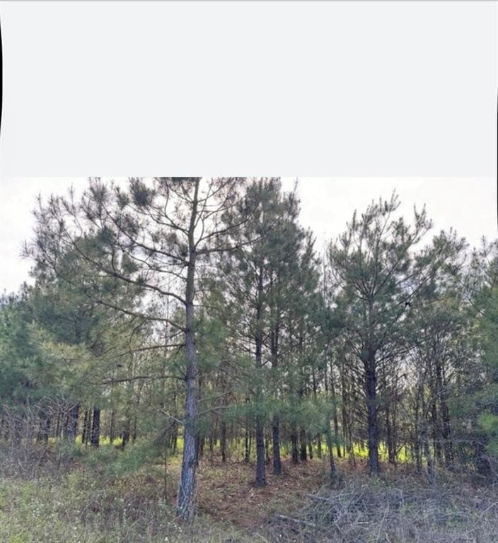33.24 acres in Cass County - photo 7