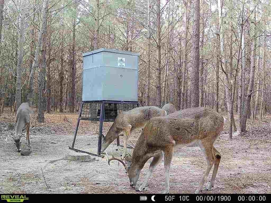 33.24 acres in Cass County - photo 19