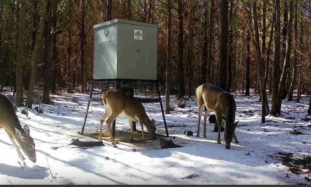 33.24 acres in Cass County - photo 12
