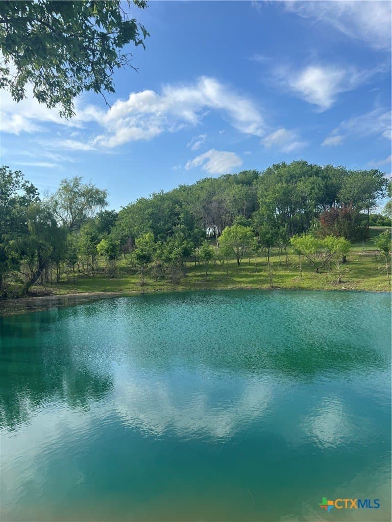 10 acres in McLennan County - photo 8