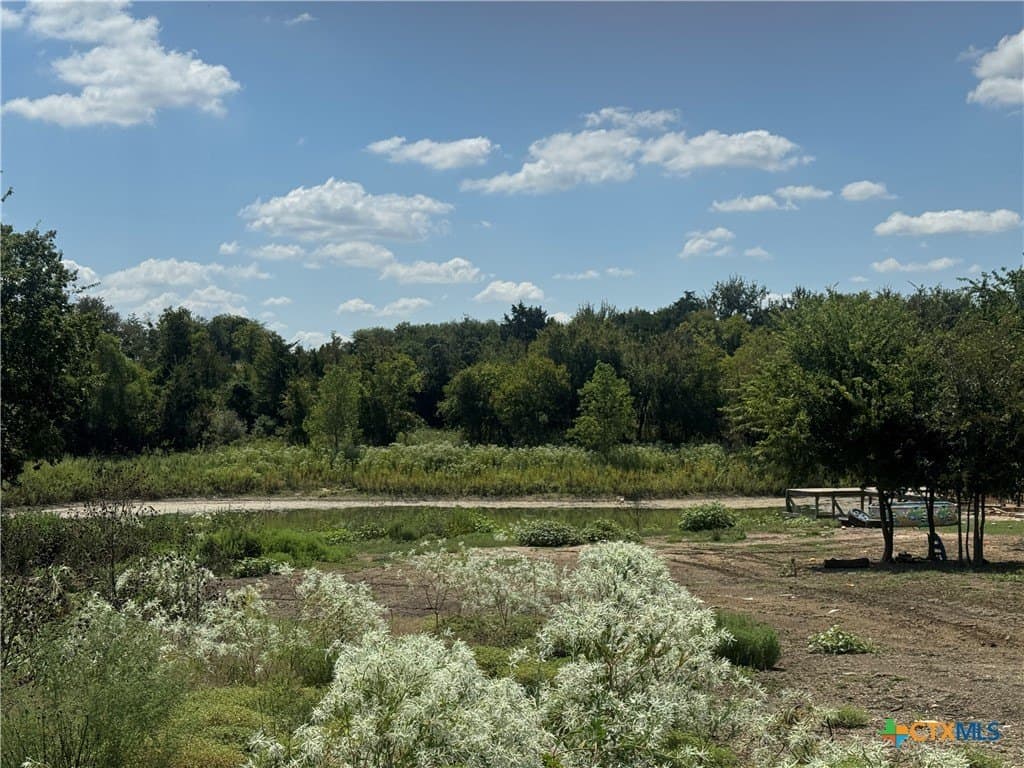 10 acres in McLennan County - photo 4