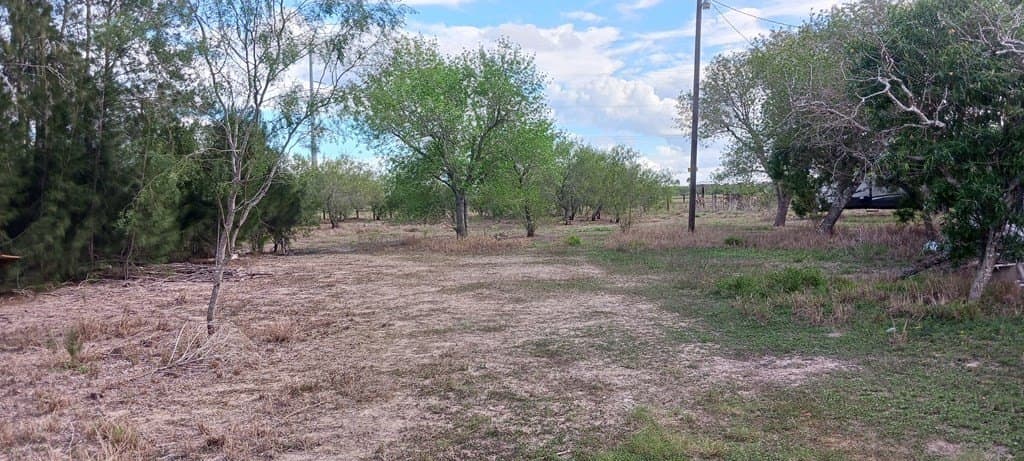 0 acres in Cameron County - photo 3