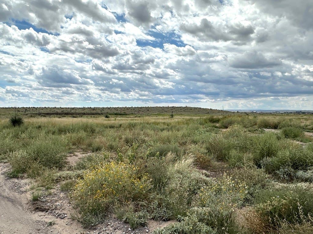 5 acres in Presidio County - photo 3