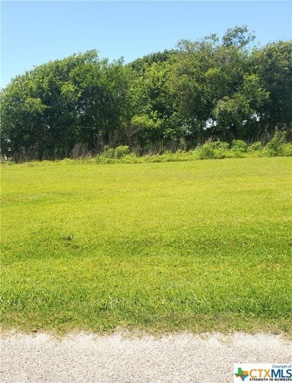0.12 acres in Calhoun County - photo 4