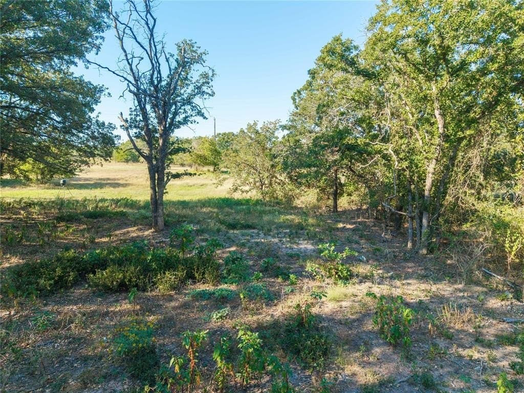 10.03 acres in Erath County - photo 15