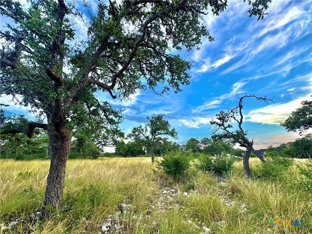 4.13 acres in Gillespie County - photo 2