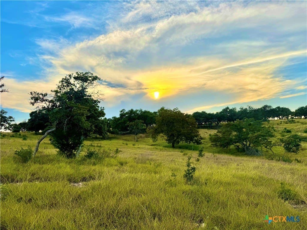 4.13 acres in Gillespie County - photo 7