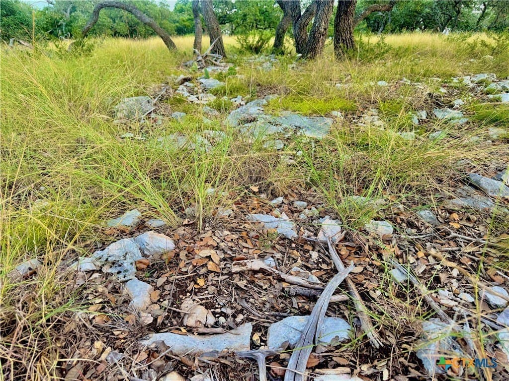 4.13 acres in Gillespie County - photo 11