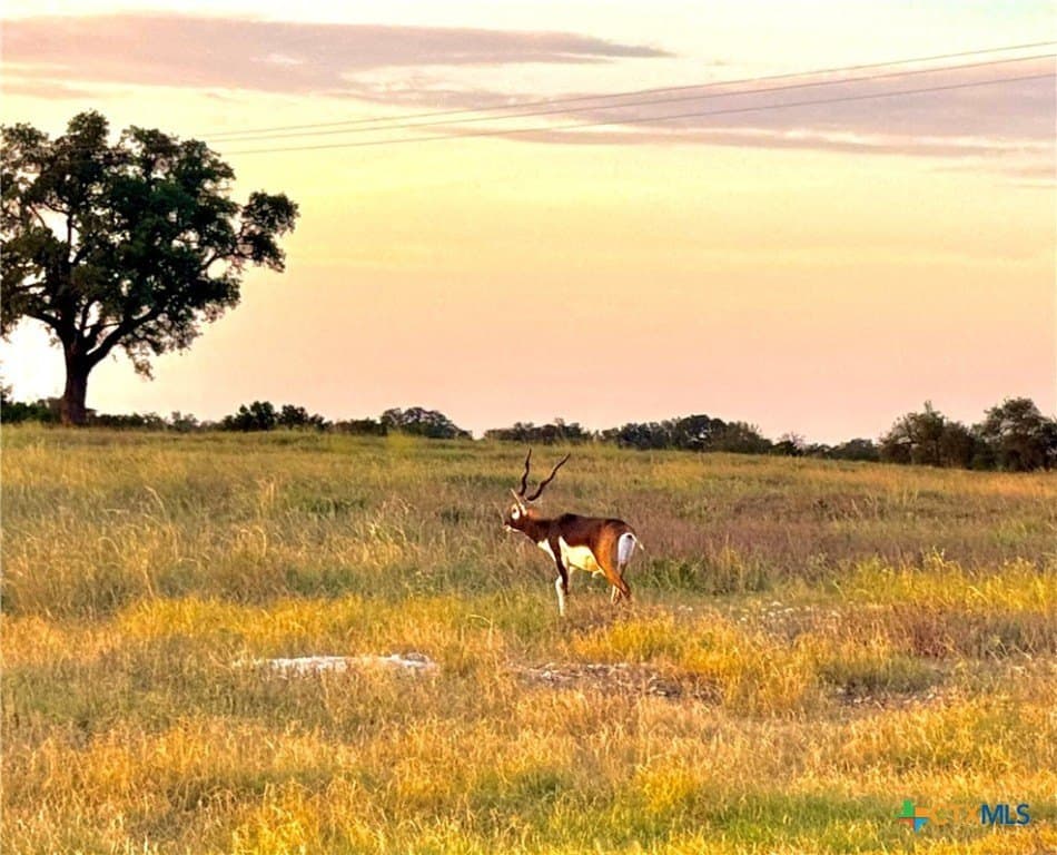 4.13 acres in Gillespie County - photo 8